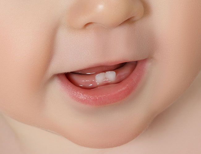 Diş Çıkarma Dönemleri